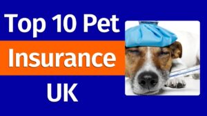 Top 10 Pet Insurance UK